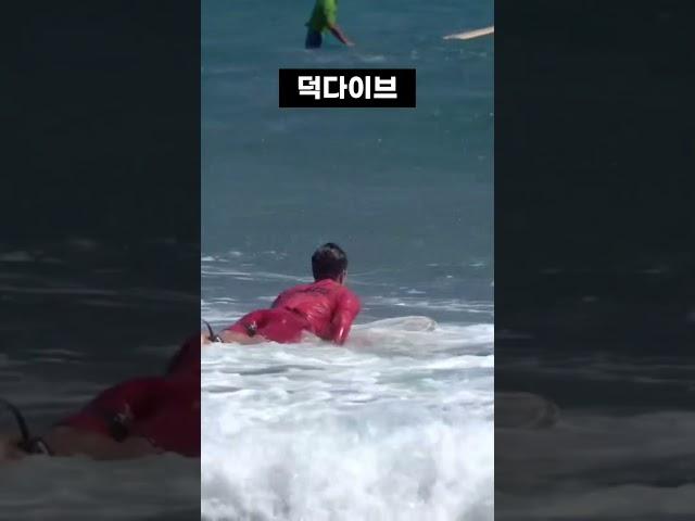 롱보드도 가능한 덕다이브 배우기 #서핑캠프 #양양서핑학교