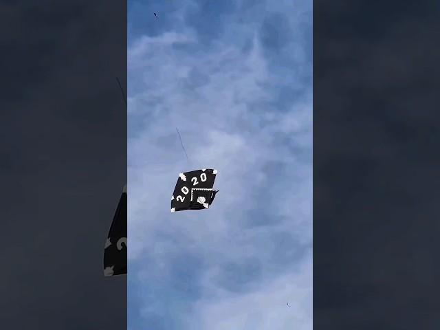 Kite flying scene basant 2024 election day basant #punjabi #hiphop #punjabisong #rawalpindi #kite