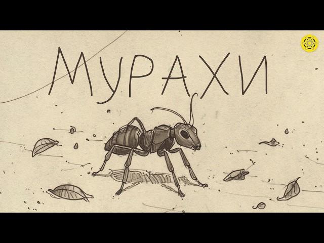 МУРАХИ: Чому ВОНИ такі ОРГАНІЗОВАНІ? | Чи справді МУРАХИ займаються ФЕРМЕРСТВОМ? | Цікаві факти