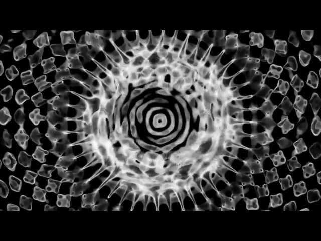 The Glitch Mob - Becoming Harmonious (feat. Metal Mother) (Official Video)