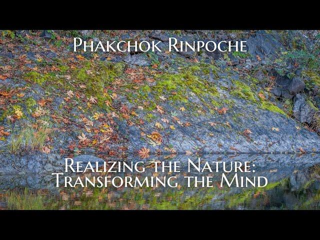 Realizing the Nature: Transforming the Mind