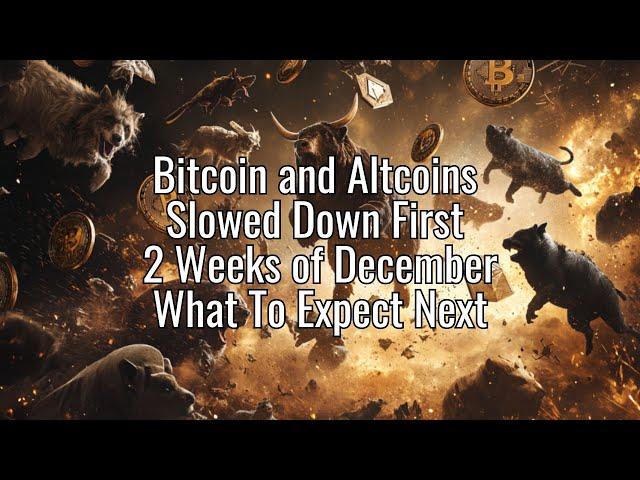 The Daily Update - Bitcoin and Altcoins Slowed Down First 2 Weeks of December. What To Expect Next