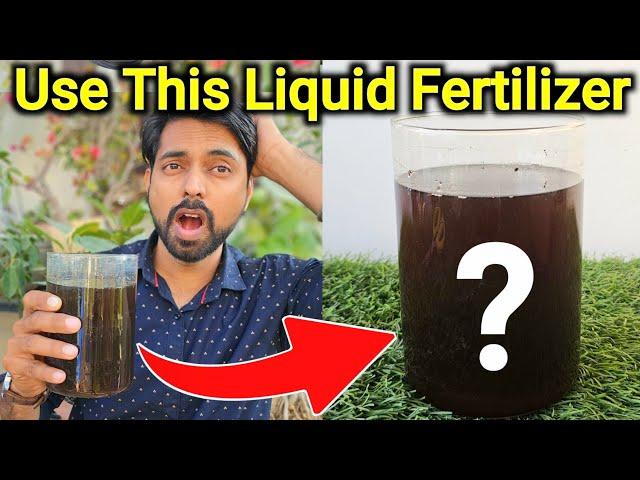 Use this Magical Liquid Fertilizer for plants (Never got this powerful result After using this)