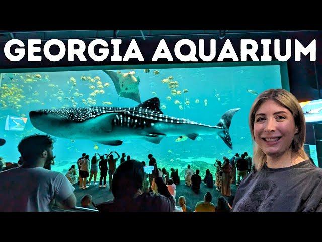 America's LARGEST AQUARIUM! TOUR & Behind the Scenes @georgiaaquarium