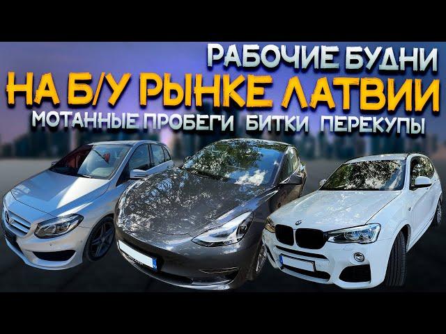 Скрученные MERCEDESы, Битые BMW и TESLA, Идеальные AUDI...