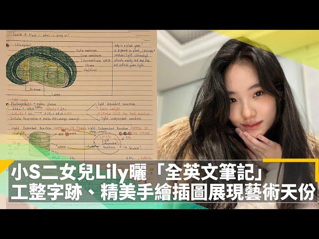 小S二女兒Lily曬「全英文筆記」　工整字跡、精美手繪插圖展現藝術天份｜鏡速報 #鏡新聞