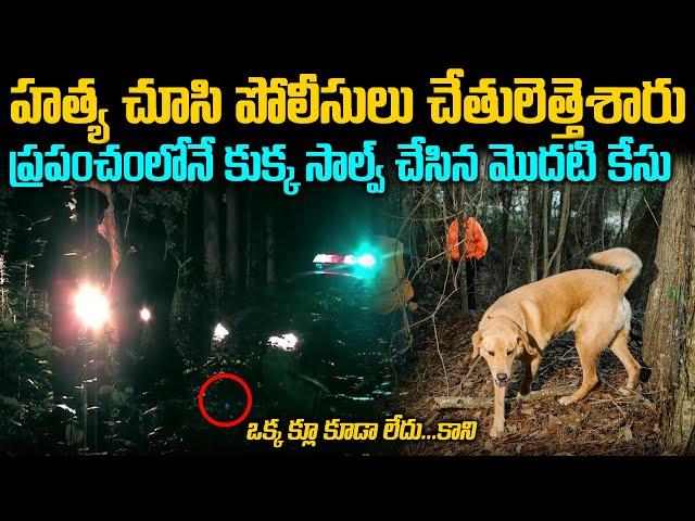 కుక్క సాల్వ్ చేసిన మొదటి కేసు| Mysteries Case Solved by Dog | Telugu waves | Voice of venkat