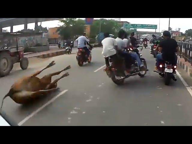 Royal Enfield Crash || INDEPENDENCE DAY RIDE || Super Bikes Ride