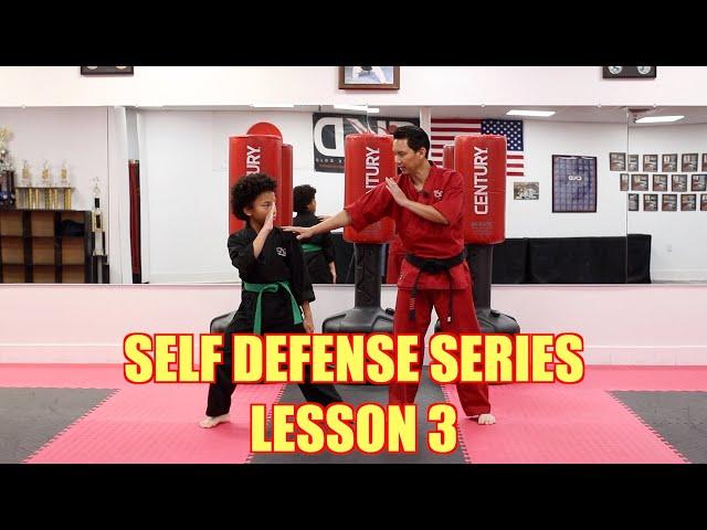 Self Defense Series/ Lesson 3