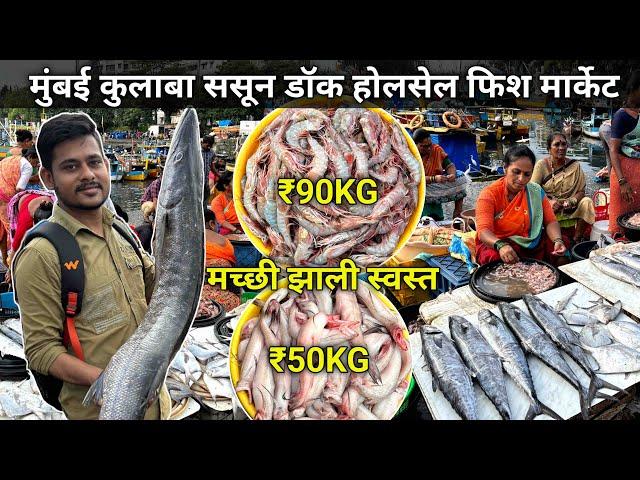 Colaba Fish Market Latest Video | Sassoon Dock Fish Market | Wholesale Fish Market In Mumbai