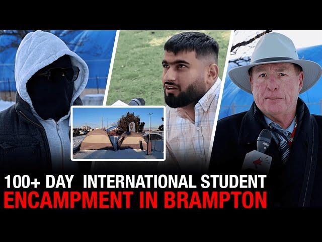 Protest paradox in Brampton: Illegal immigrants criticize Canada, crave citizenship!