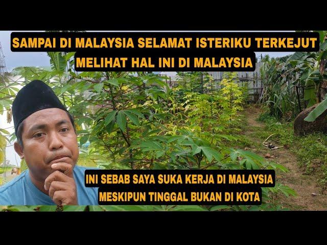 BALIK KE MALAYSIA LAGI HINGGA ISTERIKU TERKEJUT MELIHAT MALAYSIA SEPERTI INI