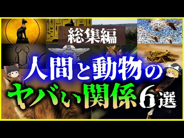 【ゆっくり解説】【総集編】人間と動物のヤバい関係6選を解説/古代エジプト、蝗害、ウリミバエ、捕鯨、イヌ、ネコ【作業用】【睡眠用】