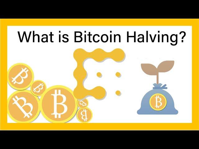 What is the Bitcoin Halving? | CoinDesk Explains