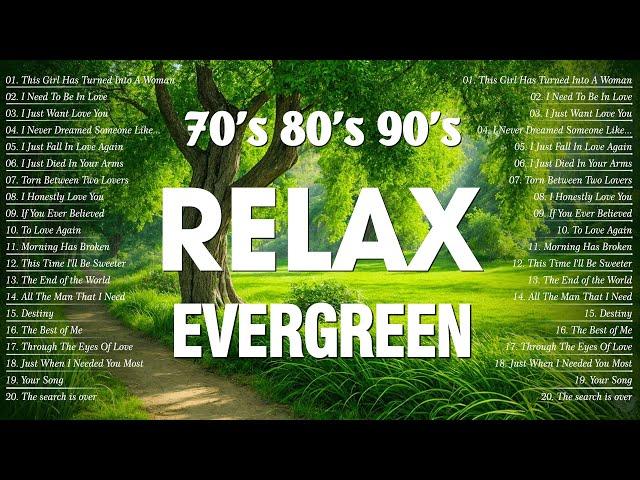 The Best Of Beautiful Relaxing Evergreen Songs Of All Time  Golden CRUISIN LOVE SONGS with Lyrics