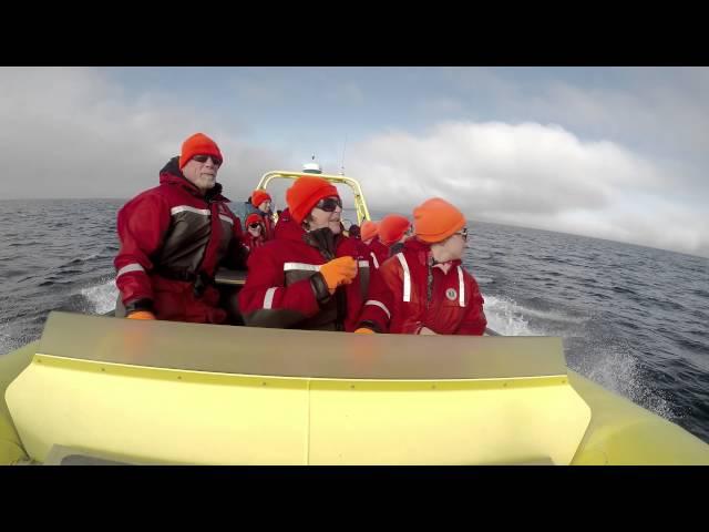 Prince of Whales - Whale Watching - Victoria, BC and Vancouver, BC