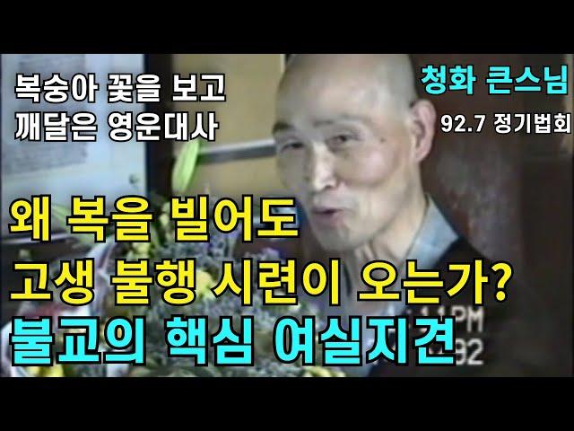 왜 복을 빌어도 고생과 시련 불행이 오는가 불교의 핵심 여실지견 | 영운대사의 깨달음 이야기 |청화스님 법문 19920705 태안사정기법회