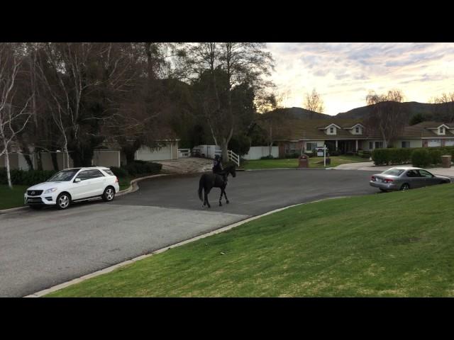 Horses on the street! Just a normal day in Santa Rosa Valley Camarillo California home for sale