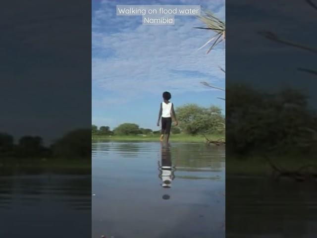 Walking on flood water in northern Namibia