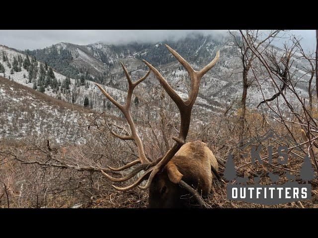 Giant 6X6 Bull Elk Utah 2024 collaboration with KIS and Lone Ridge Outfitters