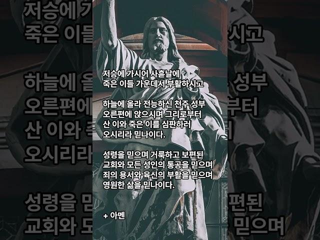 사도신경, 천주교 기도문 #shrots #천주교 #가톨릭