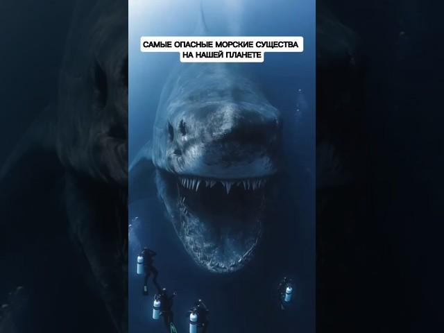 Самые опасные морские существа на нашей планете
