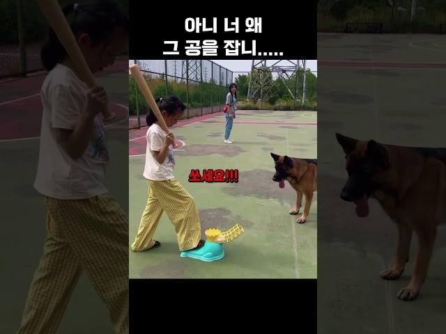 그냥 놀아주려했는데..