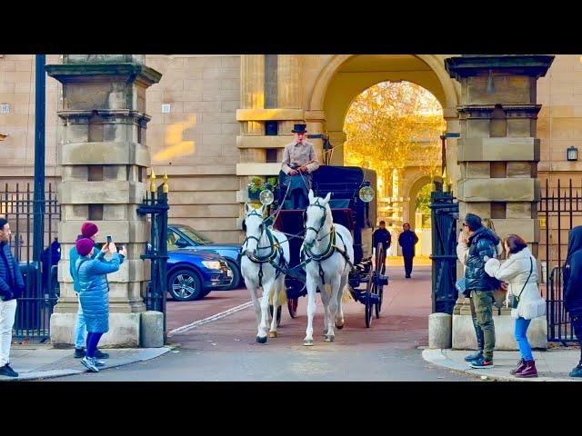 Rare Sighting at Buckingham Palace as Yeoman Warders Arrive by Horse and Carriage ️