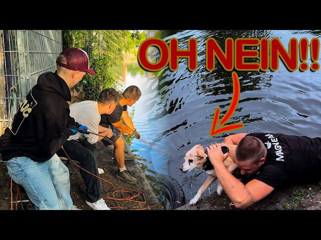 DAS ist nicht WIRKLICH PASSIERT?! - Magnetfischen mit HEYMORITZ und Gebrüder Lange