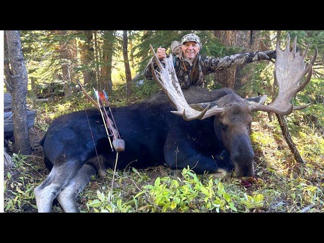 Moose Hunt with Traditional Archery Gear.  50” Shiras Bull taken with a longbow and Cedar Arrow.