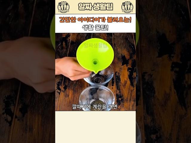 간단한 아이디어가 불러오는 생활 꿀팁!