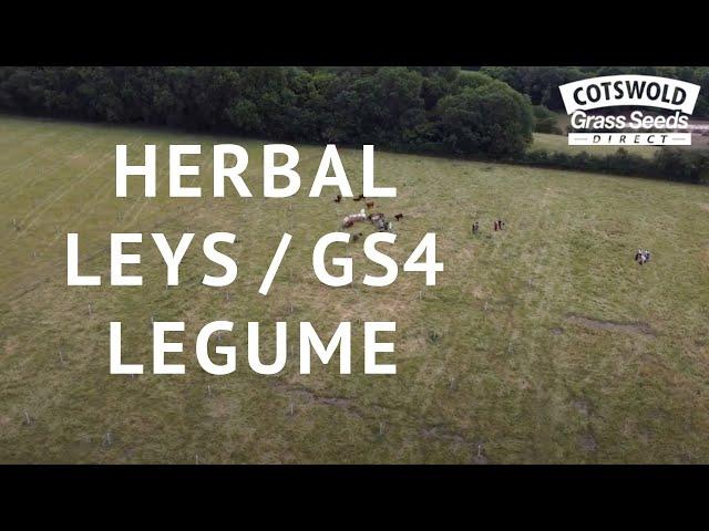 Herbal Leys / GS4 Legume & Herb Rich Sward with Jonathan Chapman