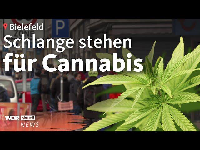 Cannabis Clubs in Deutschland: Erstes legales Gras jetzt auch in NRW | WDR Aktuelle Stunde