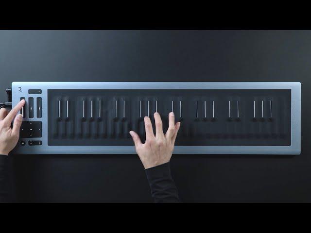 Seaboard RISE 2: Total Control of Sound