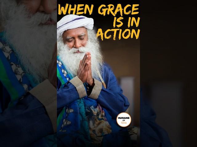 When Grace is in Action! #sadhguru #isha #guru #grace