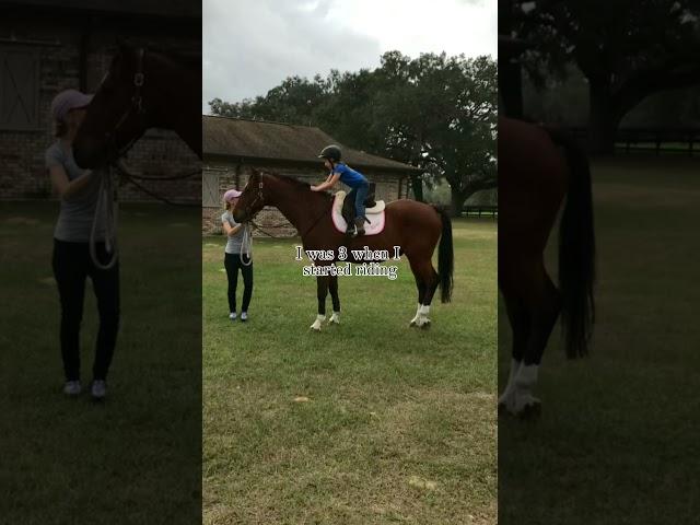 Time flies by #horse #equestrian #equestrianjourney #warmblood