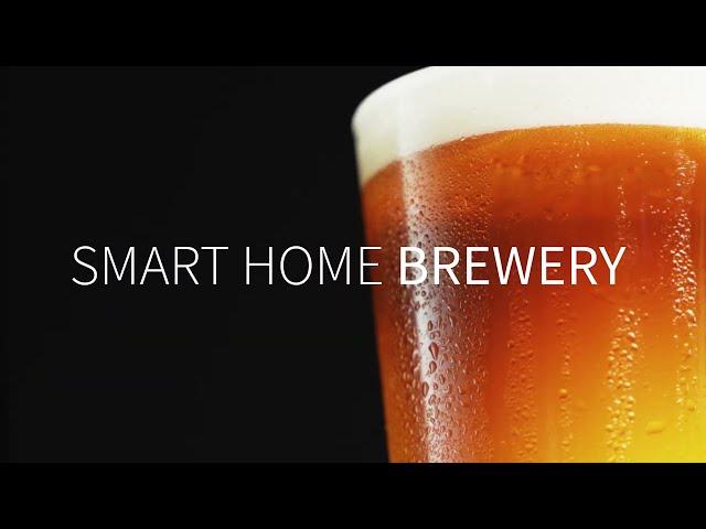 BrewArt - Brew Pub Quality Beer