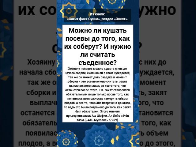 Можно ли кушать посевы до того, как их соберут? И нужно ли считать съеденное?