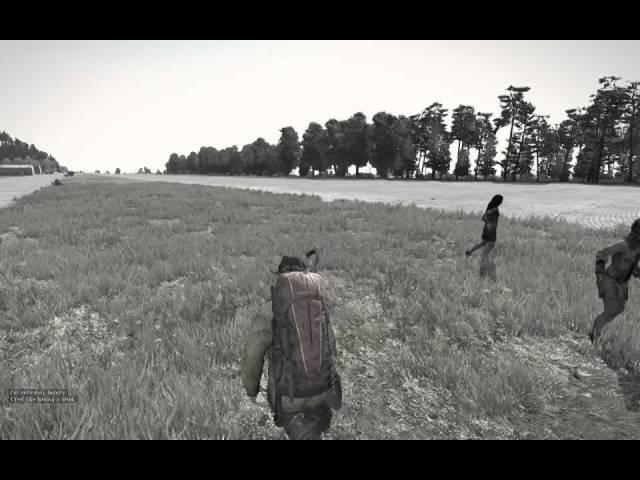 DayZ Standalone Zombie baiting