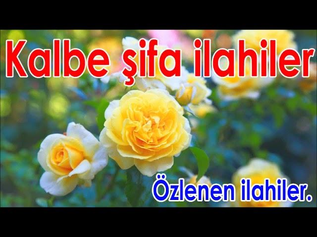  Kalbe Şifa İlahiler - Özlenen Meşhur İlahiler 