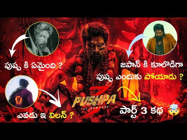 Pushpa 3 The Rampage Story Explained  | Pushpa Part 3 Story | Allu Arjun | Pushpa 2 | Telugu Movies