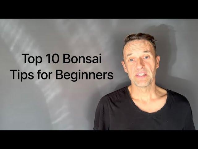 Top 10 Bonsai Tips for Beginners