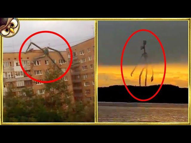 30 Mysterious Giant Creatures Caught on Tape