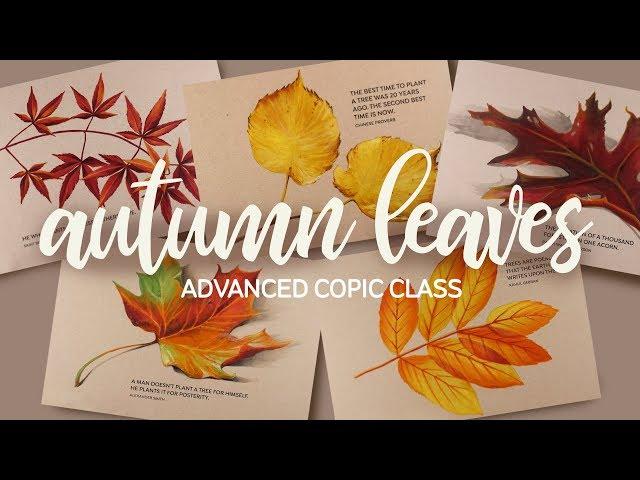 Art-Classes.com: Autumn Leaves (Copic) Advanced Class