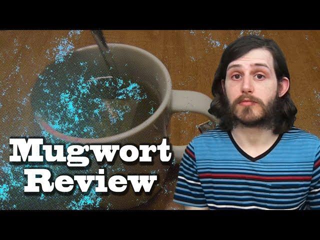 Mugwort Herb Review for Lucid Dreaming