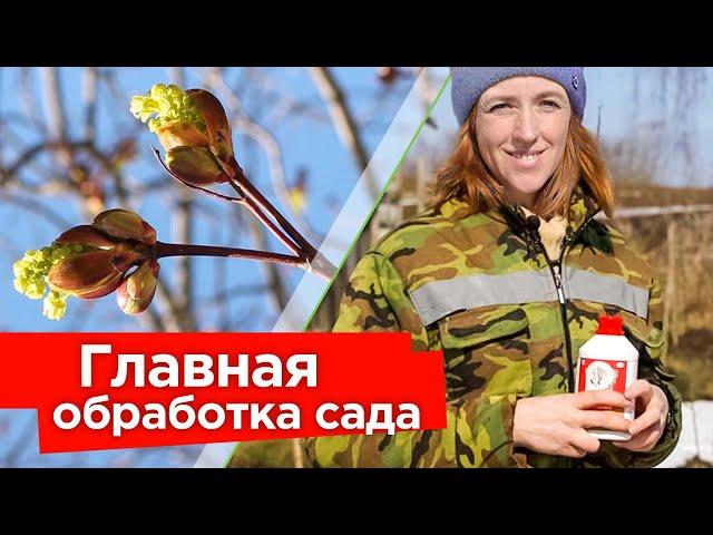 ПЕРВАЯ И ГЛАВНАЯ ОБРАБОТКА САДА ВЕСНОЙ! Мощный удар по вредителям и болезням деревьев и кустарников