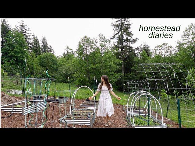 Homestead Diaries: orchard + garden tour | Day in My Life vlog