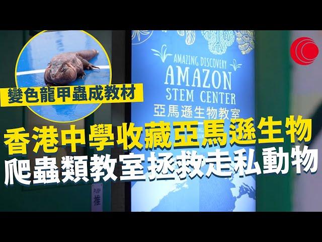 一線搜查｜香港中學收藏亞馬遜生物 爬蟲類生物教室 拯救走私動物 變色龍甲蟲成教材 ｜北上珠海「港」你知｜615集｜有線新聞 黎美萱｜中國海外呈獻：一線搜查｜HOYTV 77台