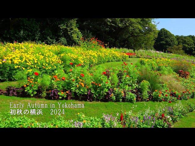 Early Autumn in Yokohama: Satoyama Garden Festa, Yokohama English Garden, Yamashita Park, etc.