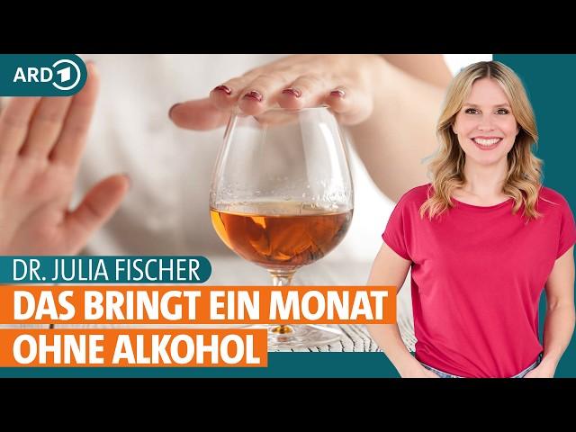 Alkoholverzicht: Was passiert im Körper und mit Herz und Leber? | Dr. Julia Fischer | ARD Gesund